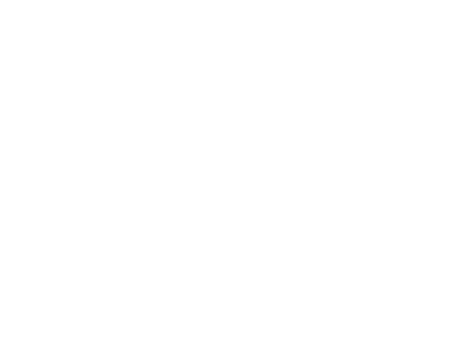 Bienvenue Private Security logo